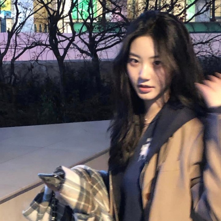 探险活宝第一季